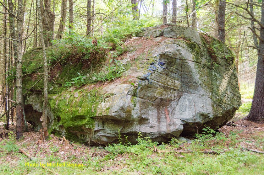 BlowhornNew Type Layer copy