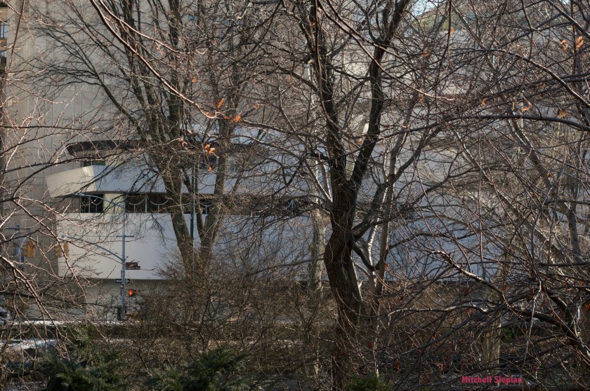 5-14-20-guggenheim--DSC_0077 copy