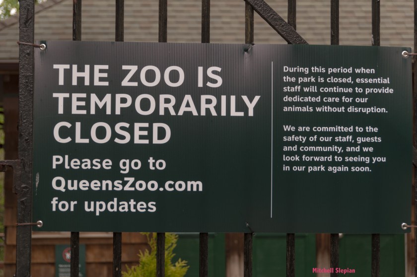 5-18-20-ZooclosedDSC_0048 copy