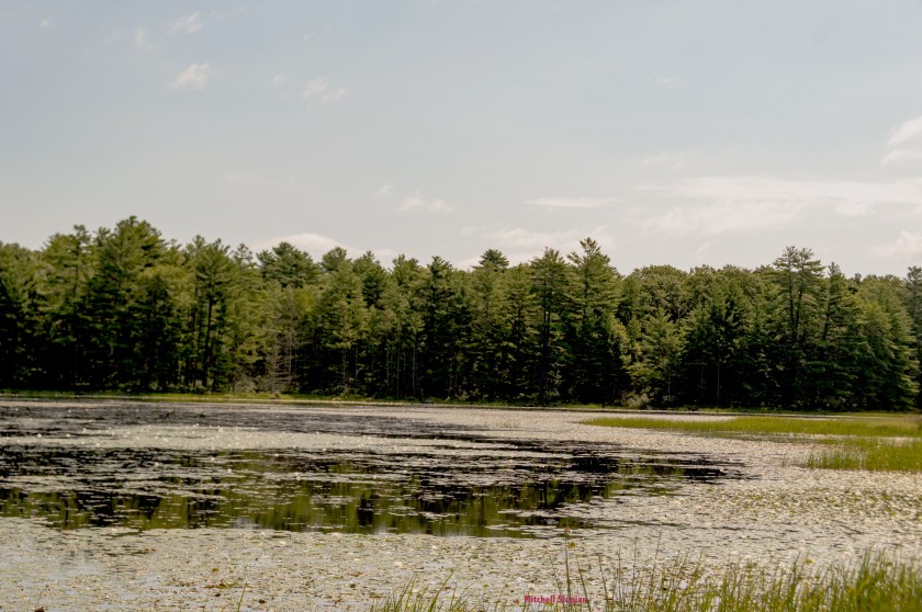 8-11-19-waterDSC_0195 copy