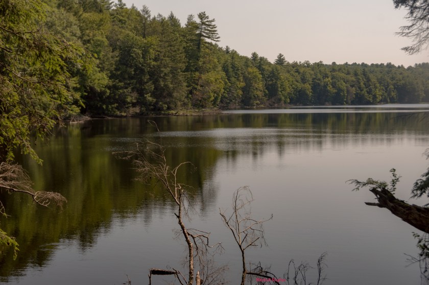 8-17-19-RockLakeRocksDSC_0949 copy