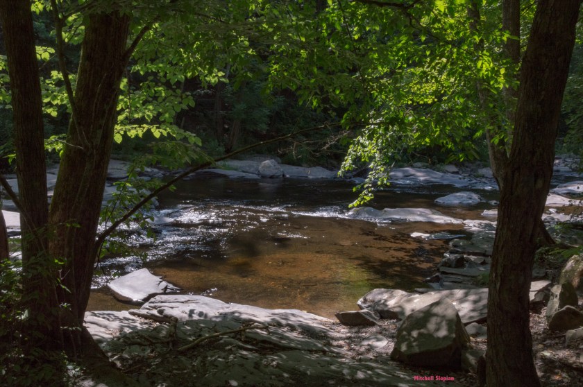 8-17-19-TMR11DSC_0971 copy