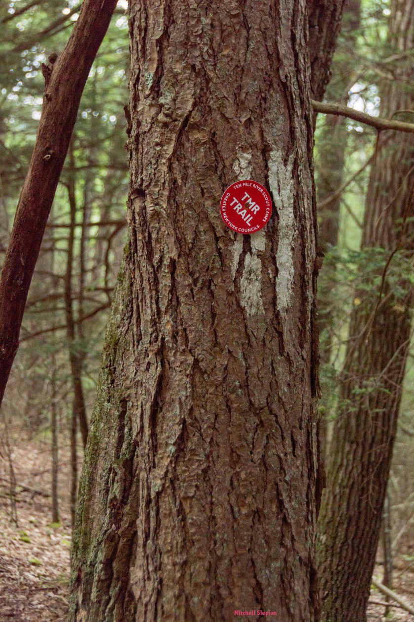 8-17-19-TMRTrailDSC_0699 copy