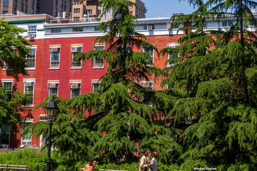 6-29-20-NYUDSC_0089 copy